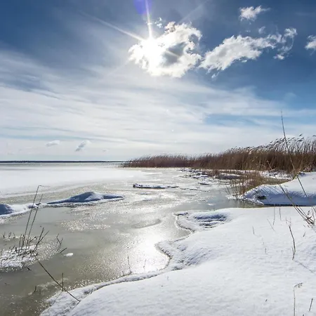 Apartment Darss Deichblick 200m Zum Ostseeheilbad Zingst