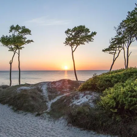 Darss Deichblick 200m Zum Ostseeheilbad Zingst